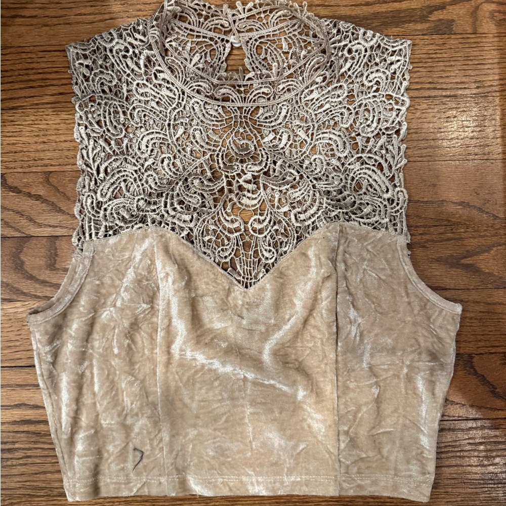 Elegant Lace and Velvet Tan Top